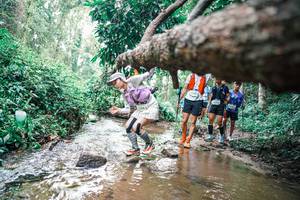 BIB: 
                            <button type="button" onclick="openModal(25373109)" class="btn btn-primary btn-sm float-right btn-popup" data-toggle="modal" data-target=".modal-high-quality">
                        <i class="fas fa-shopping-cart"></i> Add to Cart
                    </button>
                                            <button type="button" onclick="isThisMe(25373109, true)" class="btn btn-success btn-sm float-right btn-popup btn-isme hidden" data-toggle="tooltip" data-placement="bottom" title="นี่คือรูปของคุณใช่ไหม คลิกที่นี่เพื่อเอาเข้าอัลบั้ม">
                        <i class="fas fa-plus"></i> Add to album
                    </button>
                    <button type="button" onclick="isThisMe(25373109, false)" class="btn btn-warning btn-sm float-right btn-popup btn-isnotme hidden">
                        <i class="fas fa-ban"></i> Remove from album
                    </button>